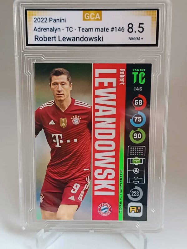 0050199 (Lewandowski)