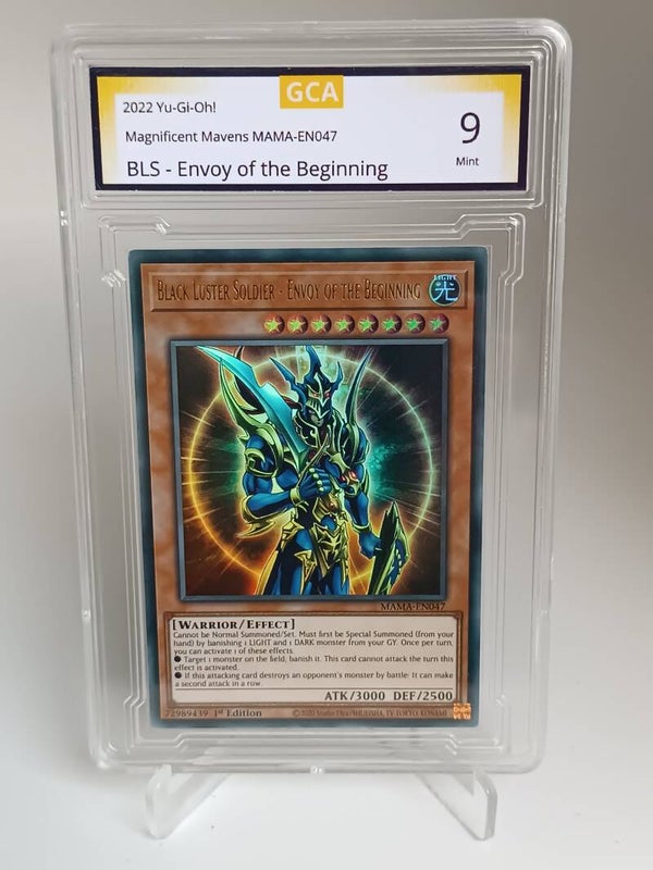 6060203 (BLS - Envoy of the Beginning)