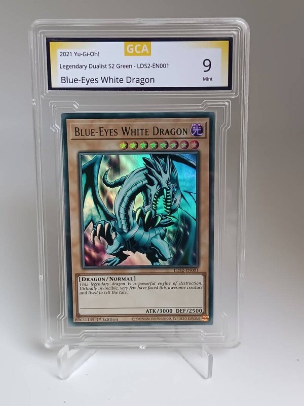 6060205 (Blue-Eyes White Dragon)