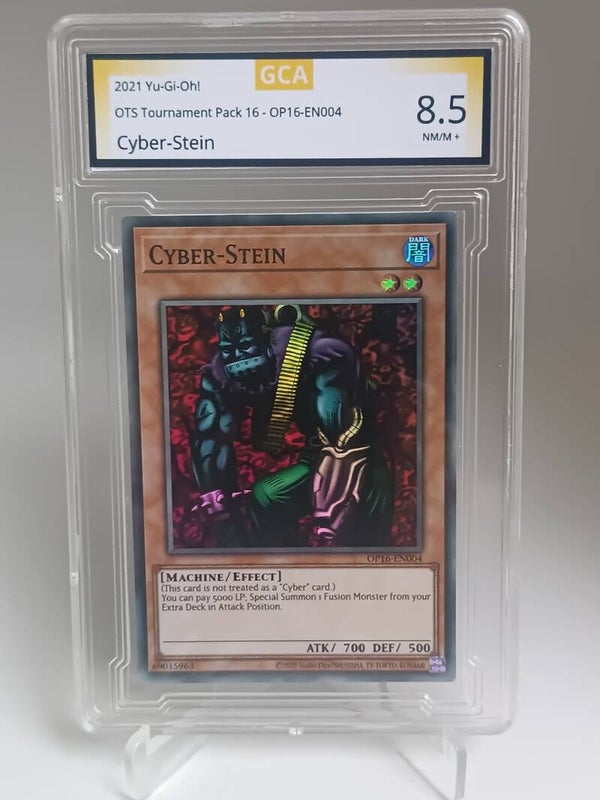 0060713 (Cyber-Stein)