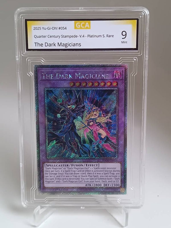 0066306 (The Dark Magicians)