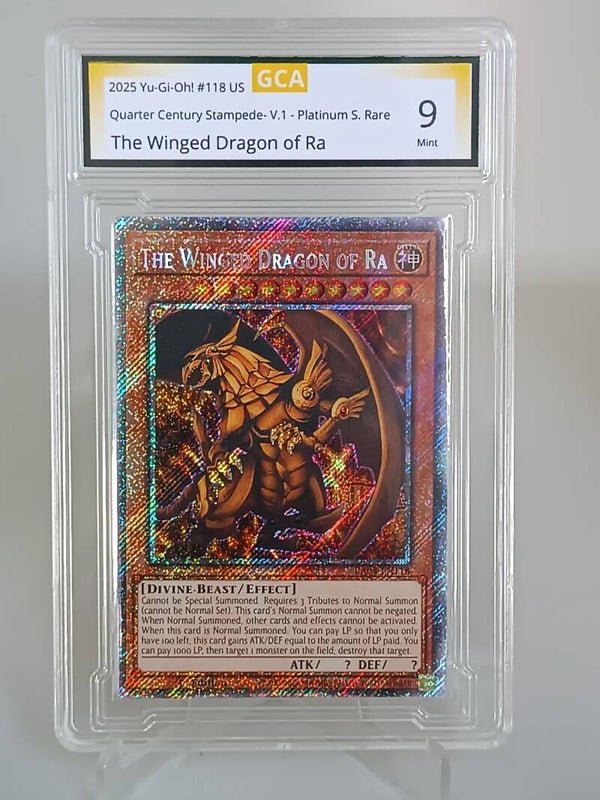 0095218