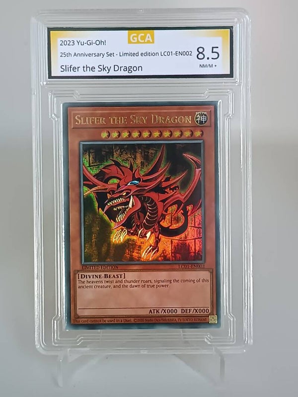 0095018