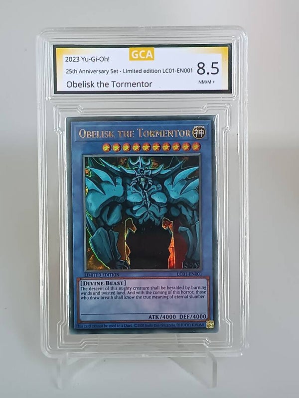 0095020