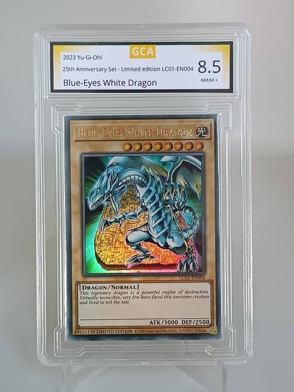 0095026
