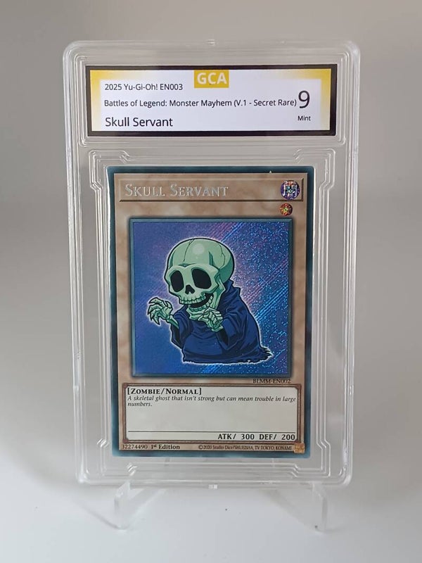 0096062