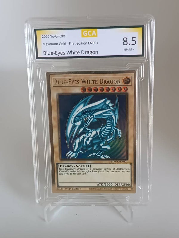 0096081
