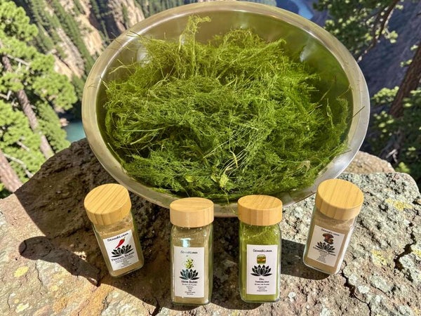 Finishing/Spices & Herb Blends