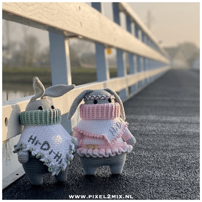 Renzo & Renate - De Konijntjes: Amigurumi Konijn Haken, Amigurumi Pasen Haken. Ontdek de betoverende wereld van haakcreaties met Renzo & Renate - De Konijntjes, het meest charmante duo voor Pasen! Betoverende haakpatronen van Pixel 2 Mix brengen deze scha