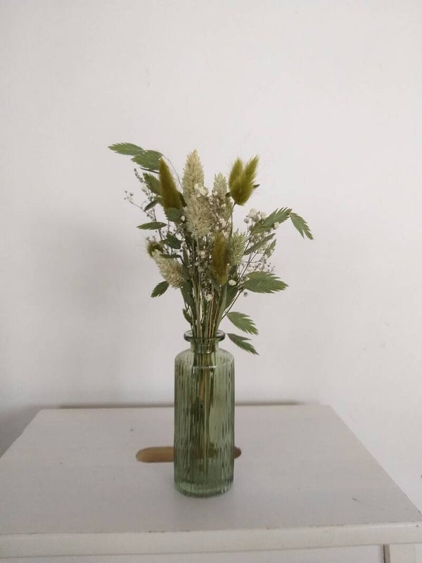 King/Queen of the jungle S