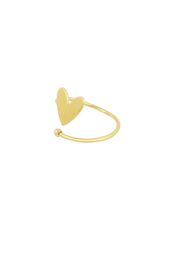 Gedraaide liefdes ring - Zilver of Goud
