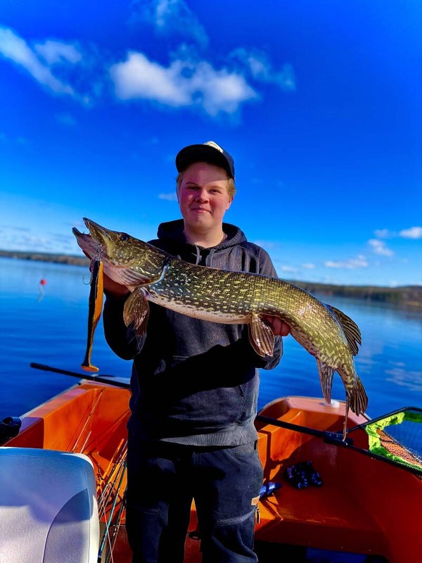 baittron slim shad