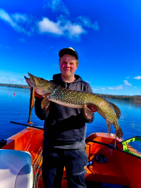 Baittron bolt shad