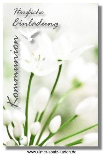 Einladungs-Karte