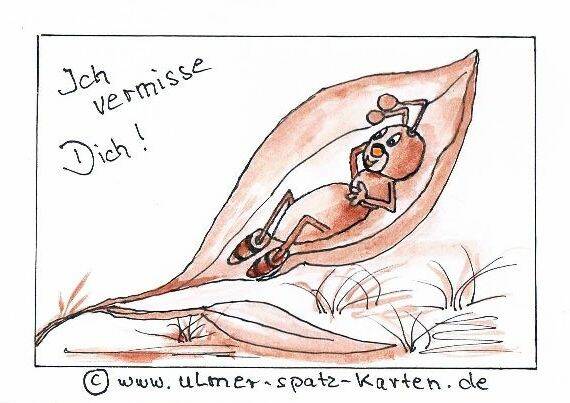 Vermissen - Ameisenkarte