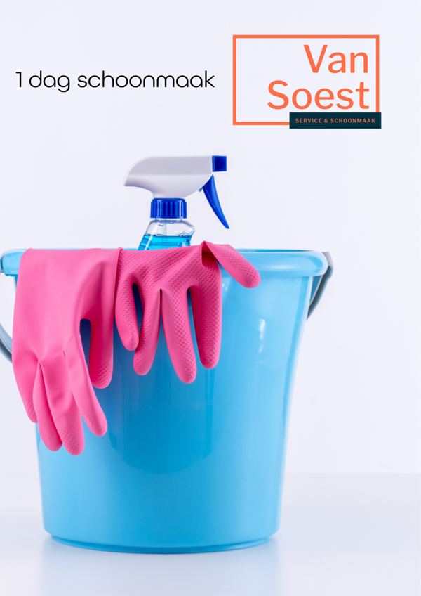 1 dag schoonmaak
