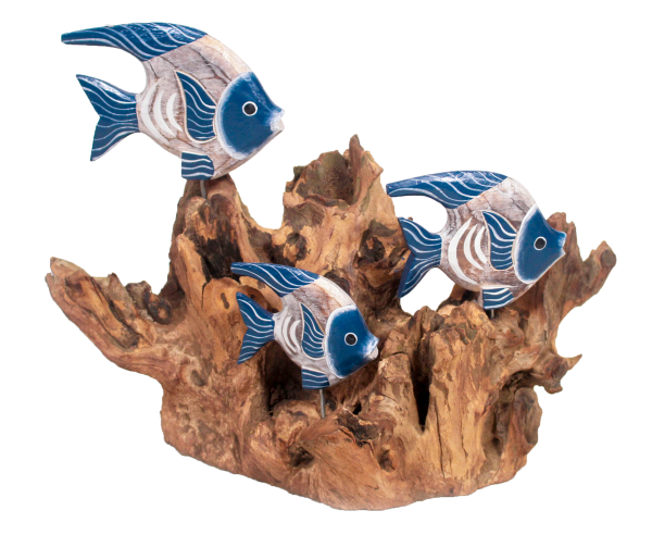 3er Fische auf Holzwurzel