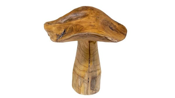 Teak Pilz 25cm hoch