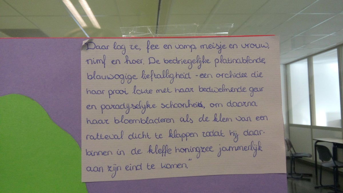 Tessa de Loo | Leesrace