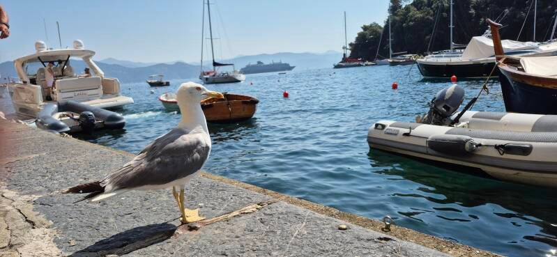 portofino-explora-journeys | www.explora-kreuzfahrten.eu