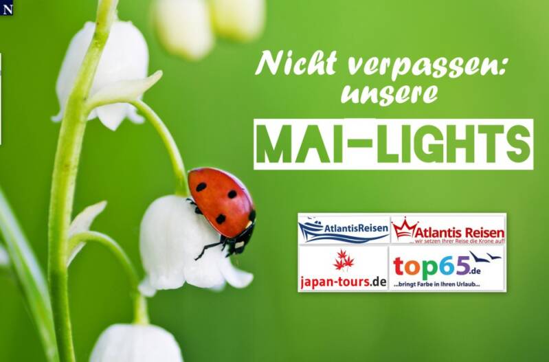 Mailights Atlantis Reisen  | www.traum-kreuzfahrten.de