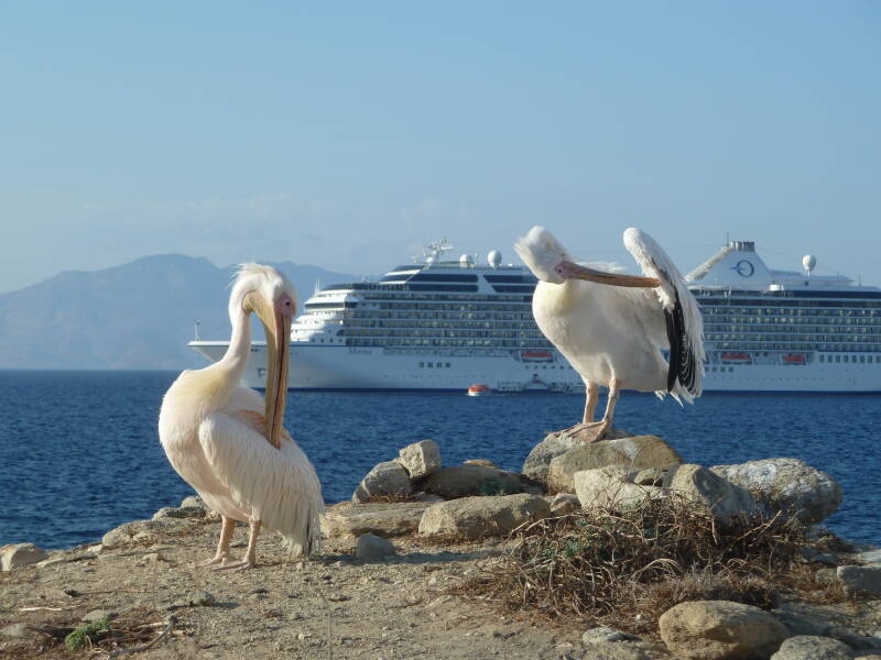 Marina Oceania Cruises | www.oceania-kreuzfahrten.com