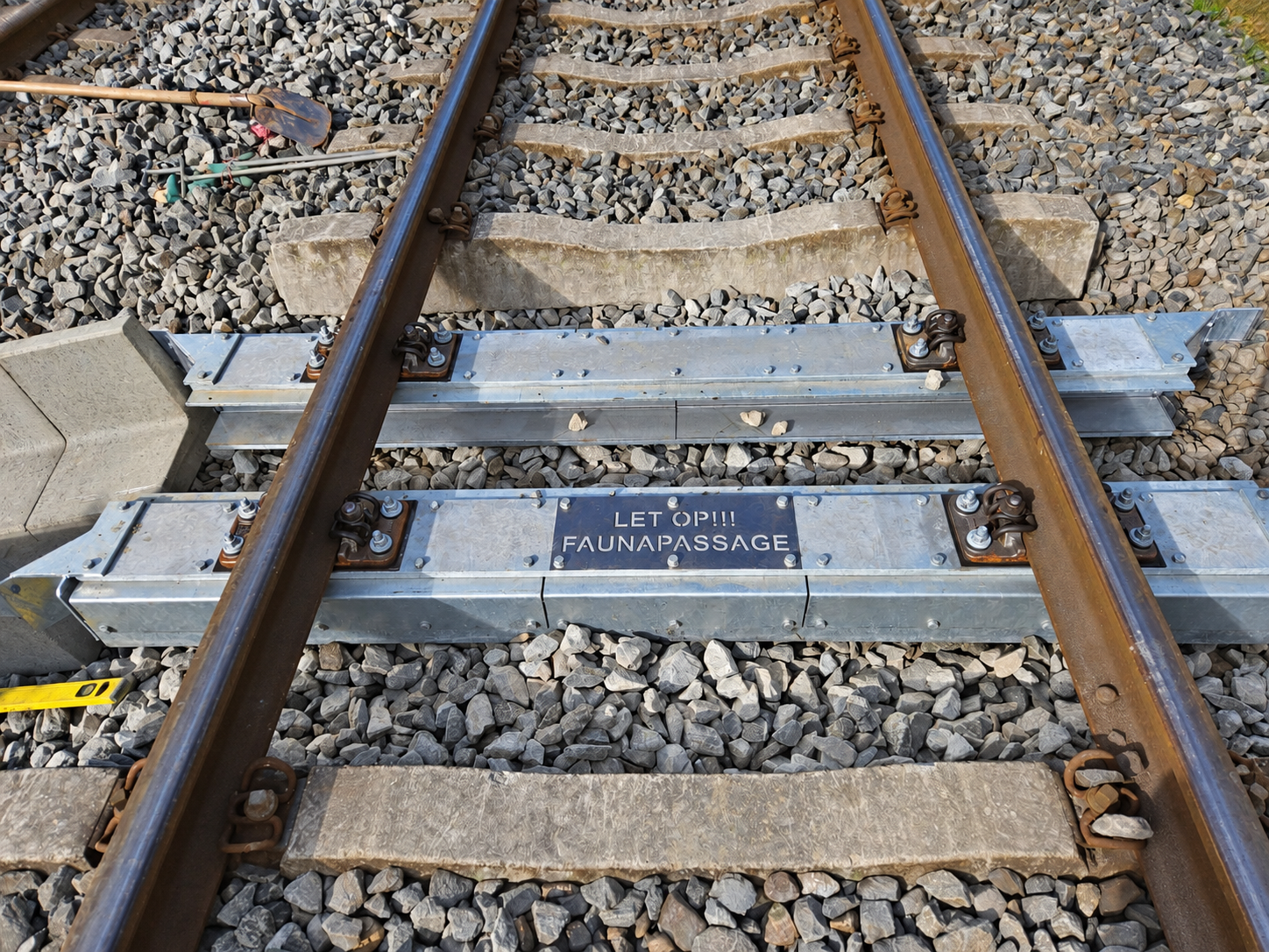 Faunapassage onder het spoor binnen een railinfraproject | RaBo Bestratingen & Spoorwerk B.V.