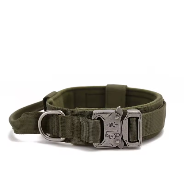 Collier Kaki tactique pour chien avec poignée – Nylon renforcé, boucle métal, confort rembourré