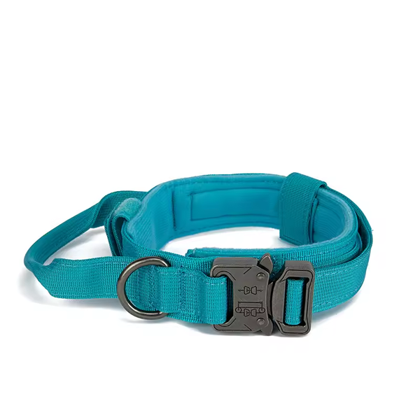 Collier bleu  turquoise tactique pour chien avec poignée – Nylon renforcé, boucle métal, confort rembourré