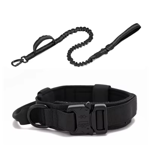 Lot Collier Tactique Noir + Laisse Noir Anti-Choc pour Chien – Nylon Renforcé, Poignée, Sécurité Voiture