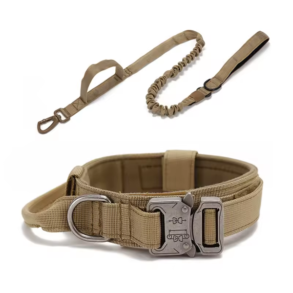 Lot Collier Tactique Kaki + Laisse Kaki Anti-Choc pour Chien – Nylon Renforcé, Poignée, Sécurité Voiture