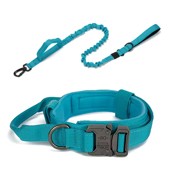 Lot Collier Tactique Bleu turquoise + Laisse Bleu Turquoise Anti-Choc pour Chien – Nylon Renforcé, Poignée, Sécurité Voiture