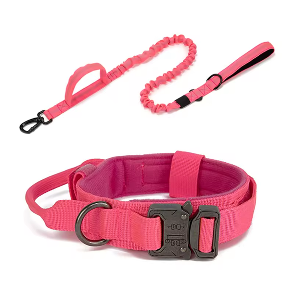 Lot Collier Tactique Rose + Laisse Rose Anti-Choc pour Chien – Nylon Renforcé, Poignée, Sécurité Voiture