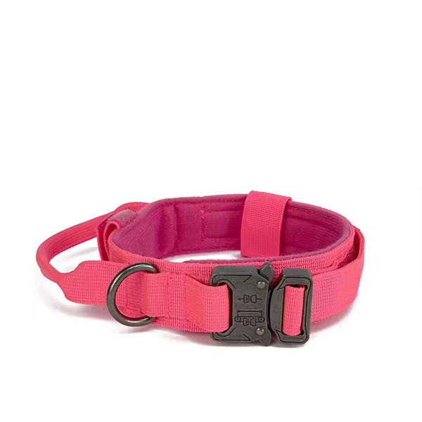 Collier Rose tactique pour chien avec poignée – Nylon renforcé, boucle métal, confort rembourré