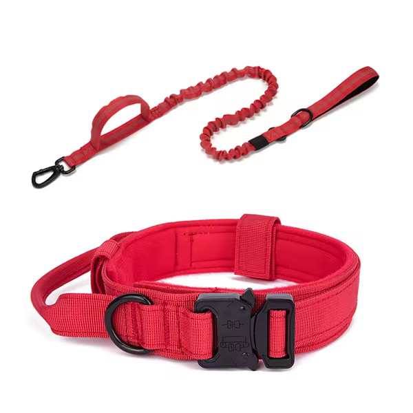 Lot Collier Tactique Rouge + Laisse Rouge Anti-Choc pour Chien – Nylon Renforcé, Poignée, Sécurité Voiture