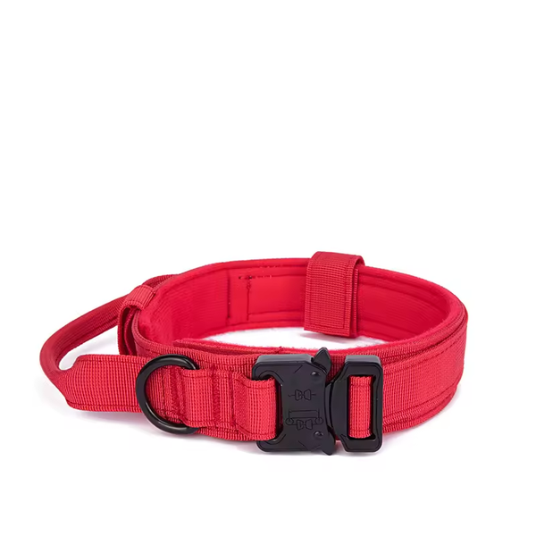 Collier rouge tactique pour chien avec poignée – Nylon renforcé, boucle métal, confort rembourré