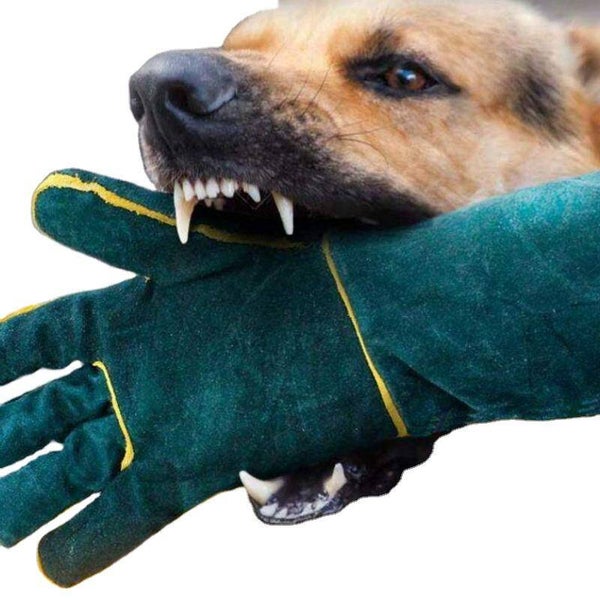Gant de protection anti morsure épaissi pour l'entraînement des chiens, reptiles, serpents et lézards