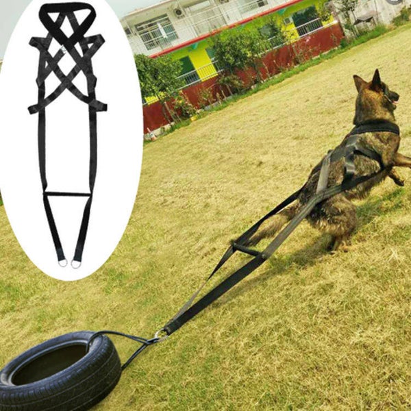 Harnais pour chien de traîneau robuste tirant la corde sangle en nylon renforcée pour la formation de chien équipement de charriage et de musculation canins