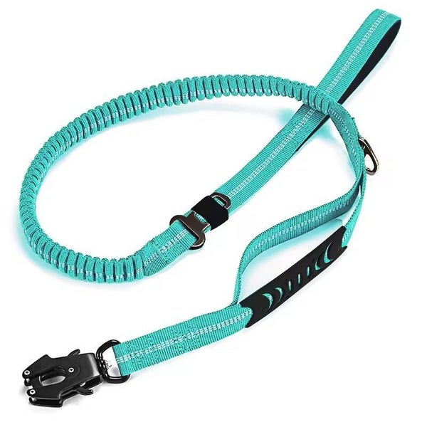Laisse Bleu claire = Tactique Élastique avec Attache Voiture Sécurité Max