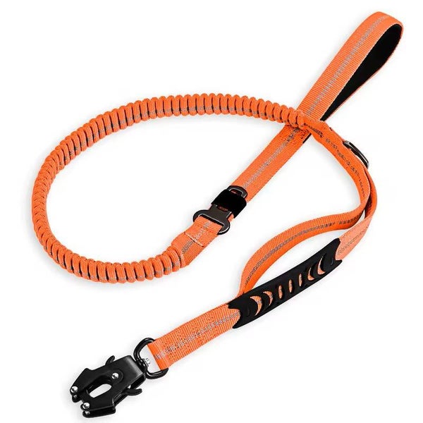 Laisse Orange Tactique Élastique avec Attache Voiture Sécurité Max