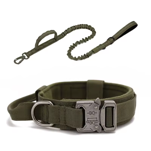 Lot Collier Tactique Vert armee + Laisse Vert armee Anti-Choc pour Chien – Nylon Renforcé, Poignée, Sécurité Voiture
