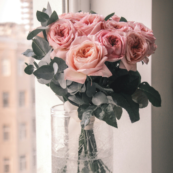 Klassische Rosenpracht