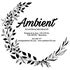 ambient128.com
