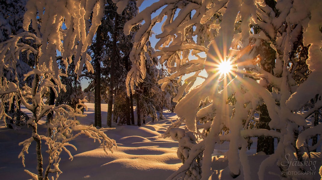 Enchanting winter landscape photography from Bälingeberget, Sweden. Explore a gallery of sunset photos and the story behind mastering creative failure.