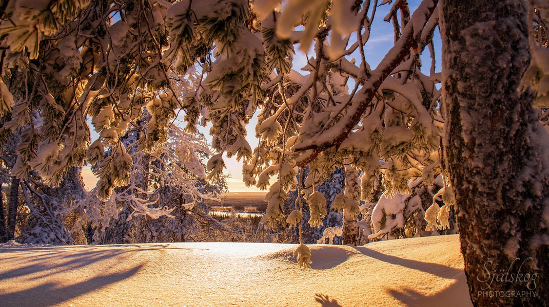 Enchanting winter landscape photography from Bälingeberget, Sweden. Explore a gallery of sunset photos and the story behind mastering creative failure.