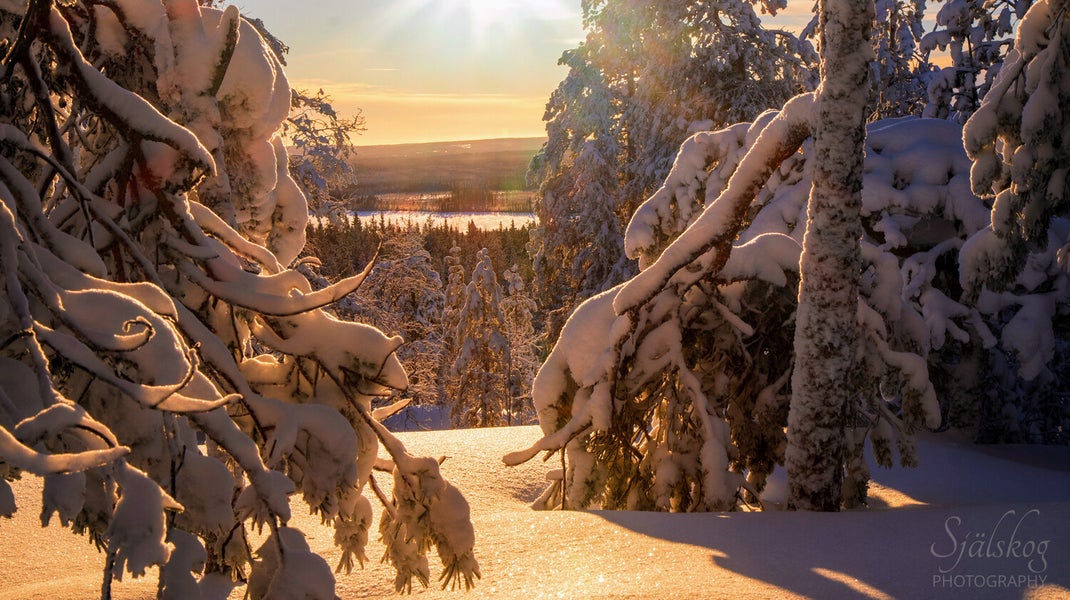 Enchanting winter landscape photography from Bälingeberget, Sweden. Explore a gallery of sunset photos and the story behind mastering creative failure.
