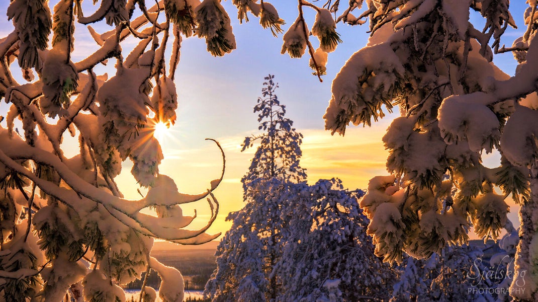 Enchanting winter landscape photography from Bälingeberget, Sweden. Explore a gallery of sunset photos and the story behind mastering creative failure.
