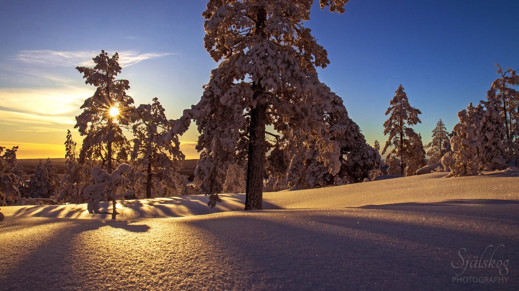 A tale of 'cursed' winter photos from Bälingeberget, Sweden. Discover the alchemy of transforming flawed landscapes into an enchanting gallery of light.