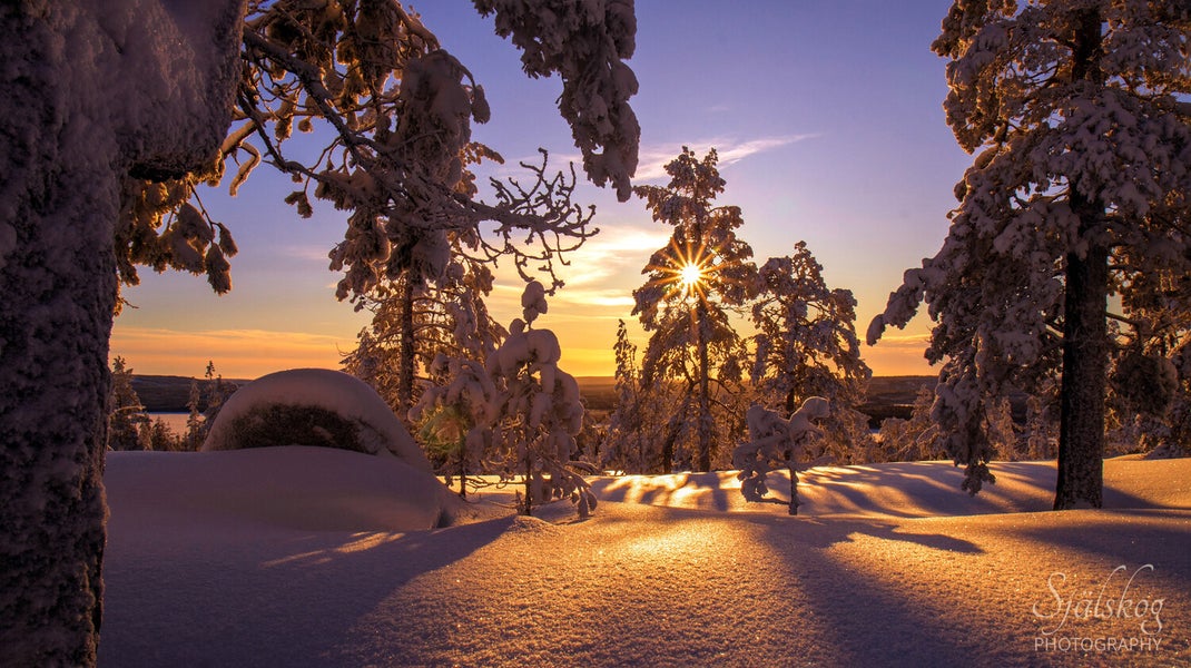 A tale of 'cursed' winter photos from Bälingeberget, Sweden. Discover the alchemy of transforming flawed landscapes into an enchanting gallery of light.