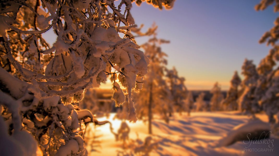 A tale of 'cursed' winter photos from Bälingeberget, Sweden. Discover the alchemy of transforming flawed landscapes into an enchanting gallery of light.